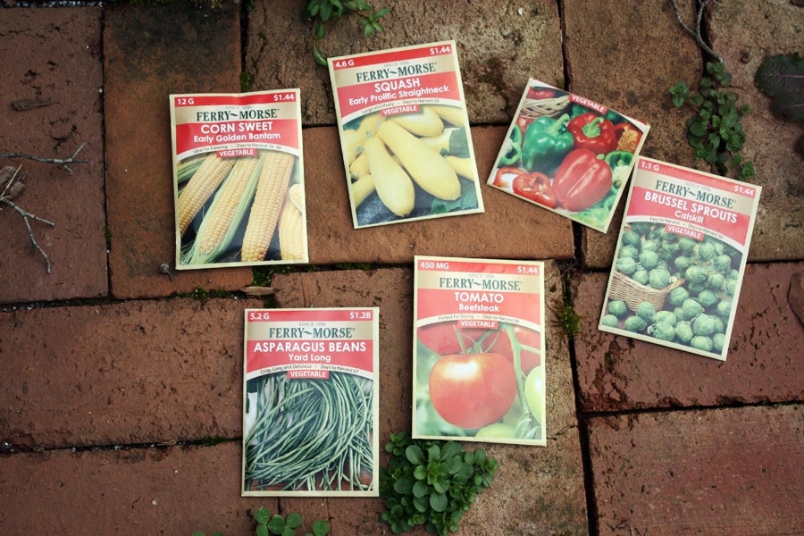How to start your first vegetable garden: easy step by step instructions with pictures to help you begin eating your very own home grown vegetables! | via Autumn All Along 