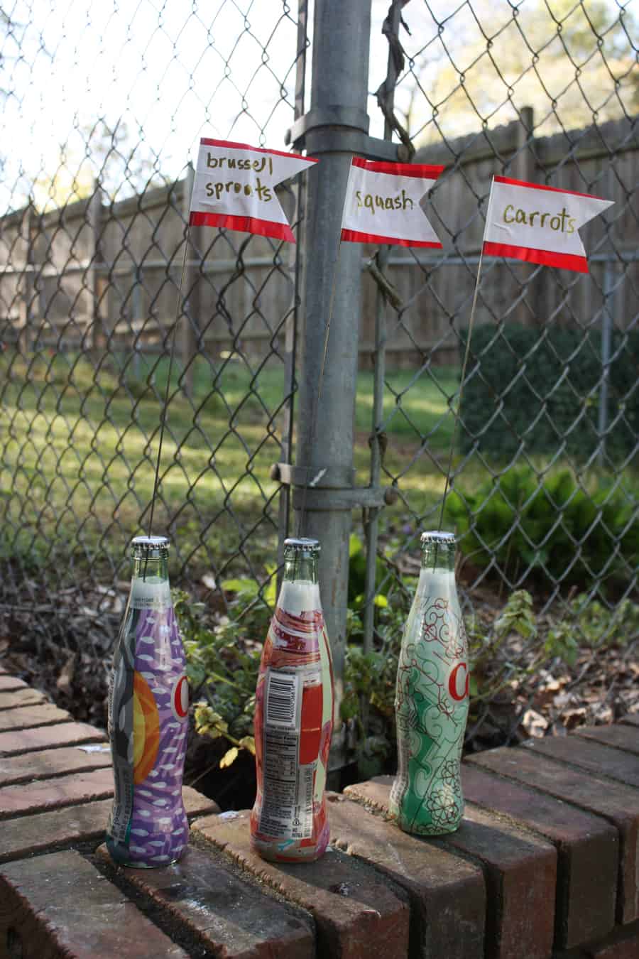 DIY garden plant markers: an easy way to recycle glass bottles and add more color to your yard! | via Autumn All Along