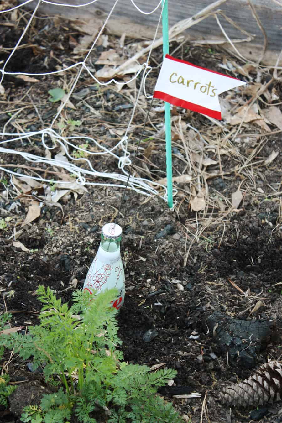 DIY garden plant markers: an easy way to recycle glass bottles and add more color to your yard! | via Autumn All Along