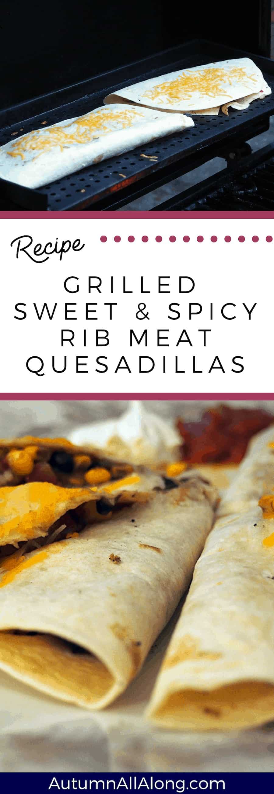 We like Tex-Mex and Mexican food a lot, but despite this we have not learned/tried to learn how to cook any of it. We've been trying to remedy this... and drum roll please. We now plan on making grilled sweet and spicy rib meat quesadillas again! | via Autumn All Along