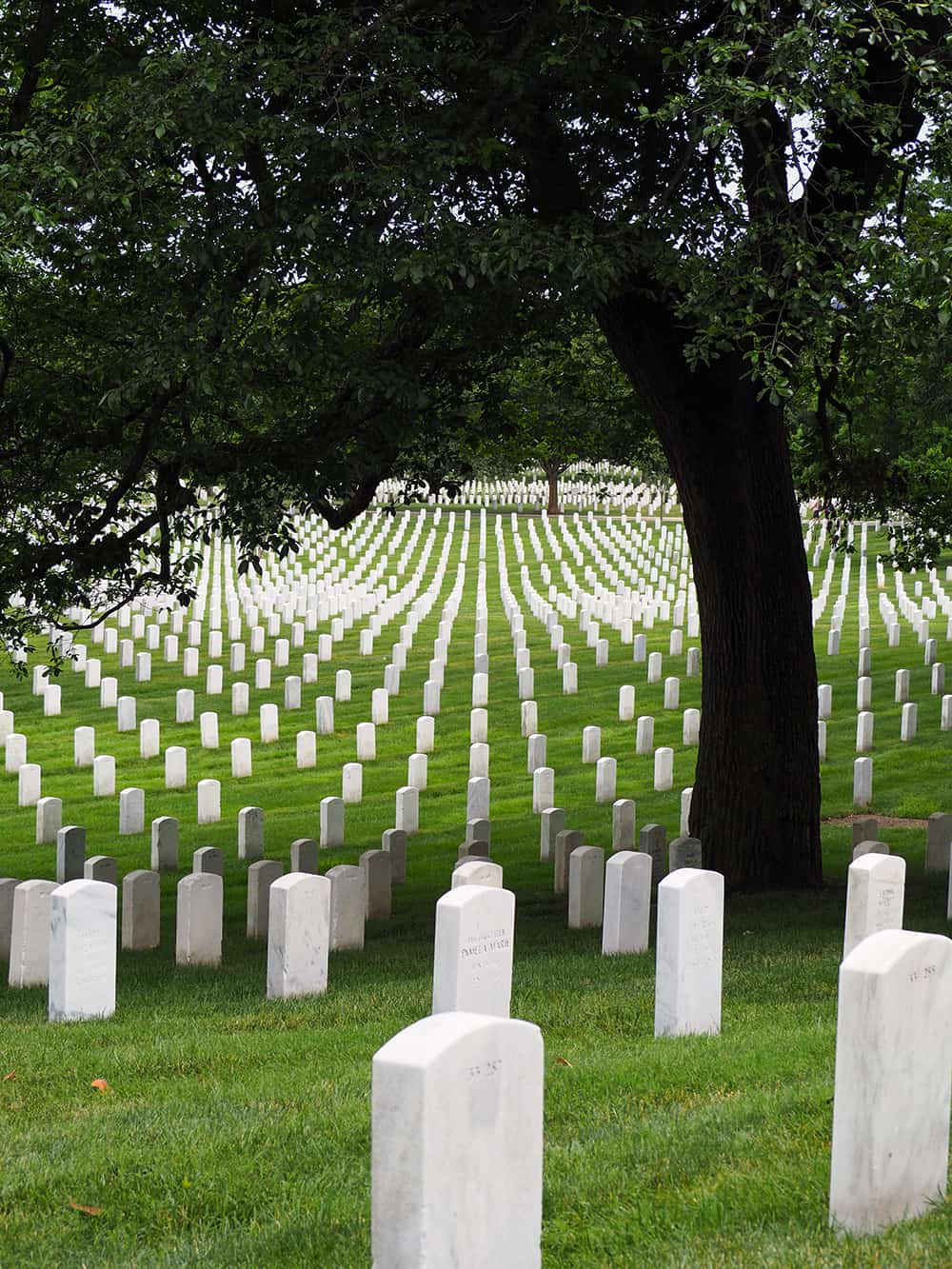 Arlington National Cemetery in Washington DC| where we have visited in DC + our DC bucket list for the future | via Autumn All Along
