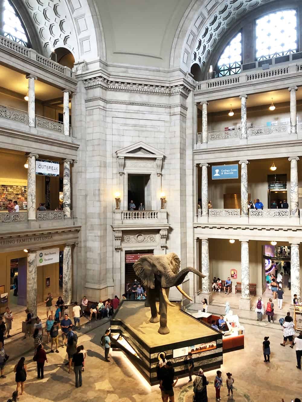 Smithsonian National Museum of Natural History in Washington DC | where we have visited in DC + our DC bucket list for the future | via Autumn All Along