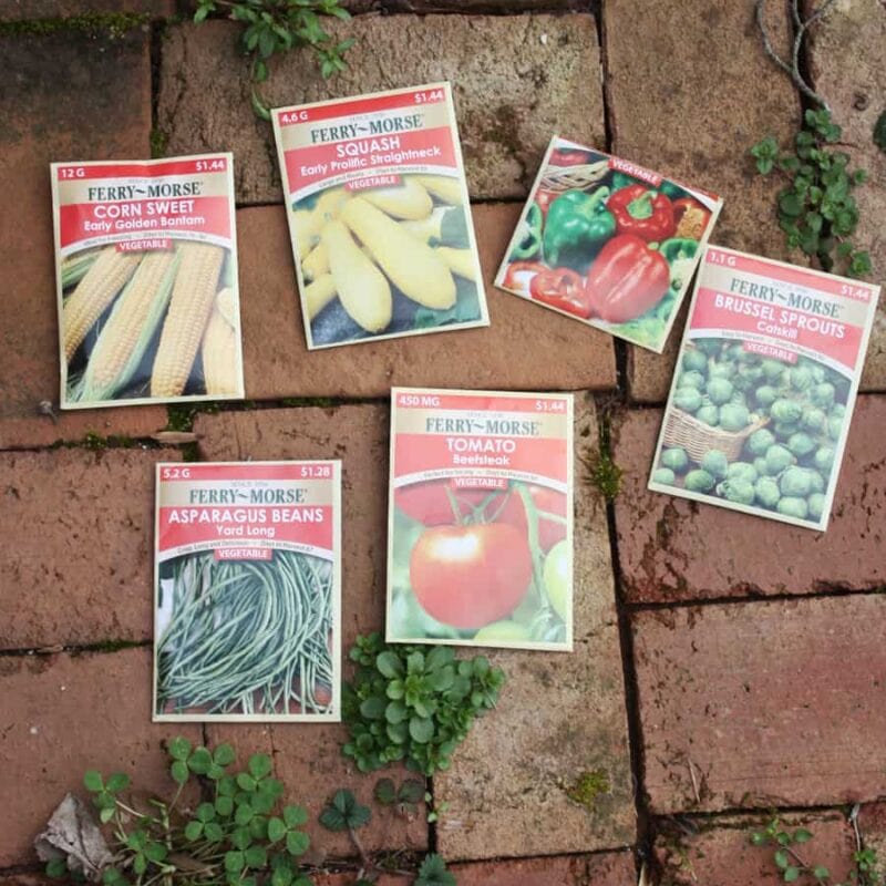 How to start your first vegetable garden: easy step by step instructions with pictures to help you begin eating your very own home grown vegetables! | via Autumn All Along