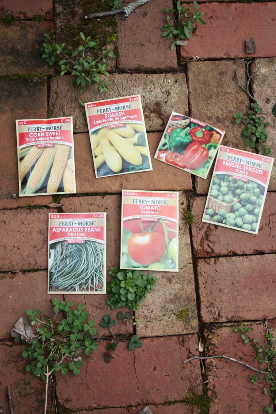 How to start your first vegetable garden: easy step by step instructions with pictures to help you begin eating your very own home grown vegetables! | via Autumn All Along