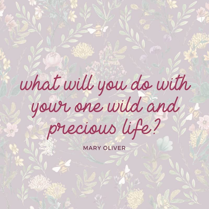 what will you do with your one wild and precious life | via Autumn All Along